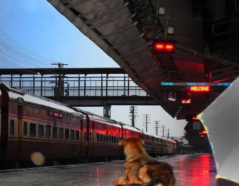 How To Travel With Your Dog In Indian Railways DogCrunch