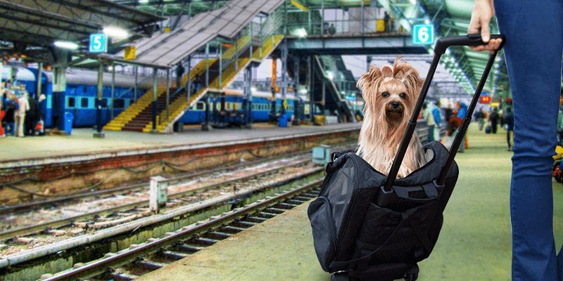 Travel With Your Pets In The Indian Railways