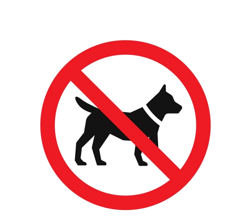 is the rottweiler legal in germany