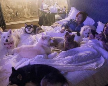 List of Sharon Osbourne’s Dogs