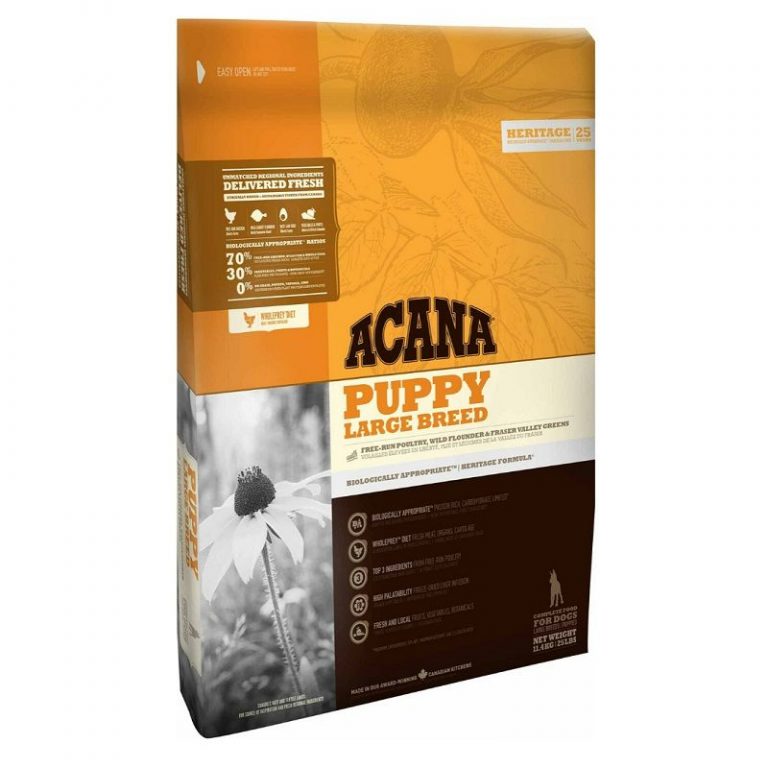 Top 10 Dog Food Brands in Philippines DogCrunch