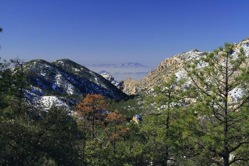 Green Mountain Trail
