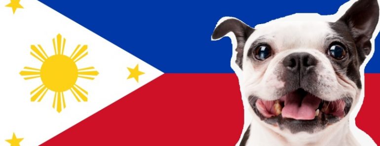 Top 10 Dog Food Brands in Philippines