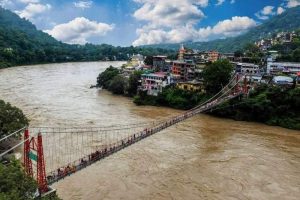 10 Dog Friendly Hotels in Rishikesh