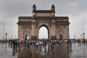 10 Best Dog Trainers in Mumbai