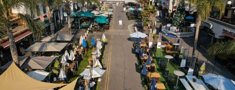 10 Best Dog Trainers in Orange County