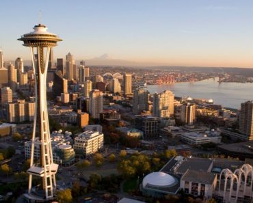 10 Best Dog Trainers in Seattle